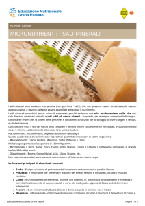 Pdf - Educazione Nutrizionale Grana Padano