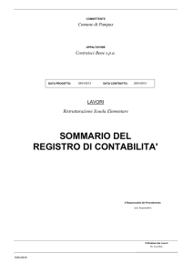 SOMMARIO DEL REGISTRO DI CONTABILITA`