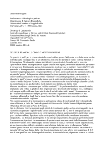 Cellule staminali, cloni o moderni mostri, di Graziella Pellegrini