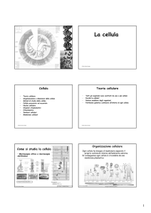 La cellula
