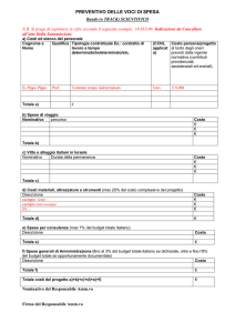 preventivo delle voci di spesa