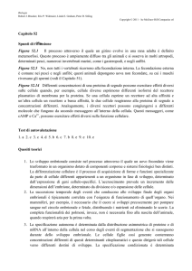 Capitolo 52 Spunti di riflessione Figura 52.1 Il processo attraverso il