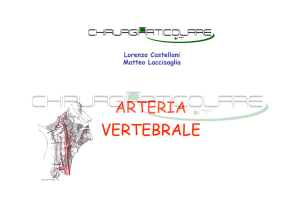 arteria vertebrle - Chirurgiarticolare