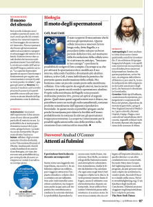 Il moto degli spermatozoi Attenti ai fulmini