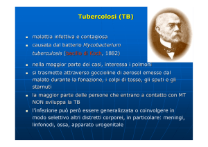 Tubercolosi