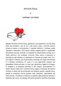 Attività fisica e  i sistemi correlati