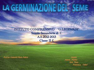 Il seme