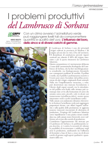del Lambrusco di Sorbara - ASTRA Innovazione e Sviluppo