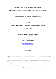 Teoria metodologia e didattica del movimento umano