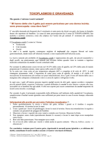 toxoplasmosi e gravidanza