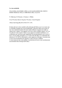 La vena sentinella UNA GUIDA ANATOMICA PER LA