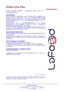 White Zym Plus - Lafood Group Srl