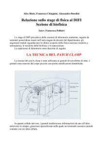 la tecnica del patch clamp