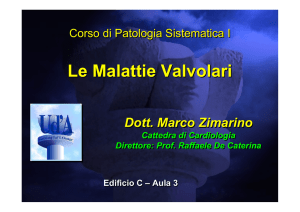 Valvulopatie Endocardite