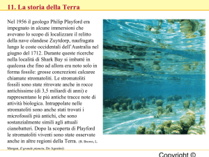 Il Precambriano