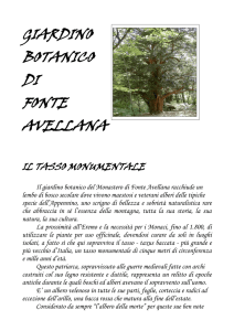 GIARDINO BOTANICO DI FONTE AVELLANA