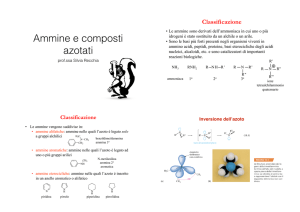 ammine e composti azotati