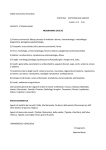 Programma di Biotecnologie IV B