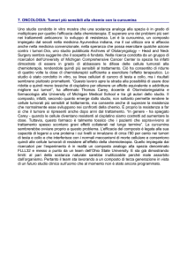 7. ONCOLOGIA: Tumori più sensibili alla chemio con la curcumina