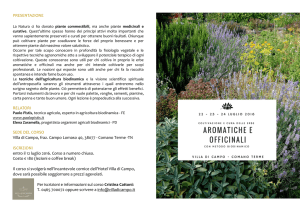 Scarica il programma completo