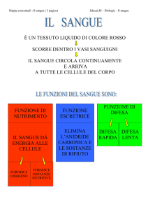 mappe concettuali sangue circ cuore Arianna dragani