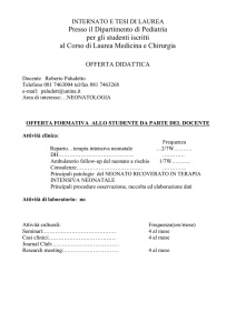 Microsoft Word Viewer - Paludetto
