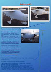 Dettagli PDF