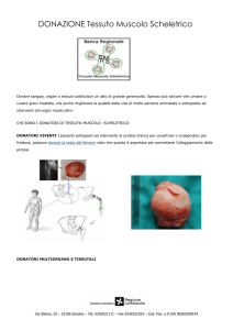 DONAZIONE Tessuto Muscolo Scheletrico