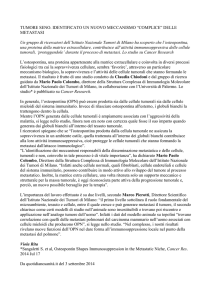 TUMORE SENO. IDENTIFICATO UN NUOVO MECCANISMO