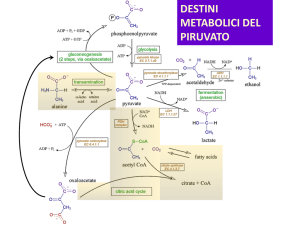 lez_2016-17- PDH - I blog di Unica
