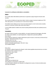 Manutenzione batterie E
