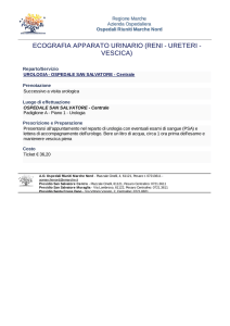 ECOGRAFIA APPARATO URINARIO (RENI - URETERI