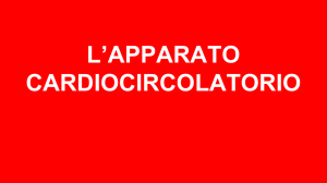 Scarica file - Maestro Alessandro