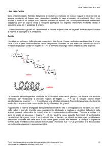 I POLISACCARIDI Sono macromolecole formate dall`unione di