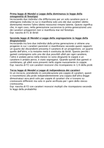 Prima legge di Mendel o Legge della dominanza