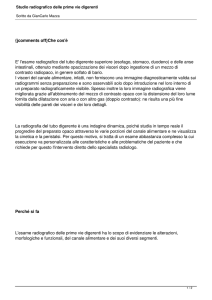 Studio radiografico delle prime vie digerenti