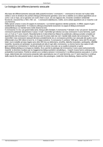 Le biologia del differenziamento sessuale