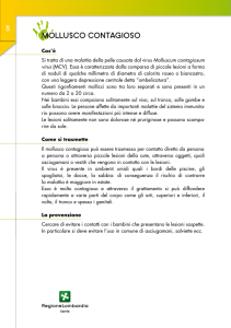 MOLLUSCO CONTAGIOSO 8