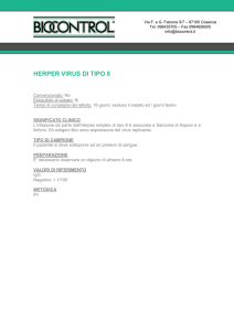 herpes virus 8
