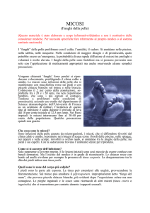 La Micosi (funghi della pelle)