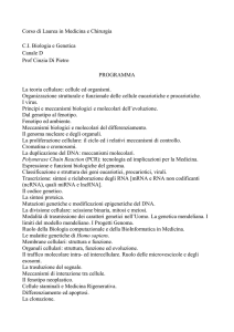 BIOLOGIA e GENETICA - Canale D - Prof.ssa C. Di