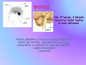 Diapositiva 1