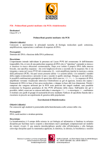 Polimorfismi genetici mediante Alu PCR
