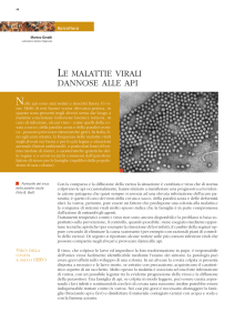 Le malattie virali dannose alle api