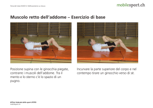 Muscolo retto dell`addome