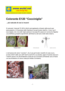 Colorante E120 - E124