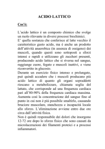 acido lattico