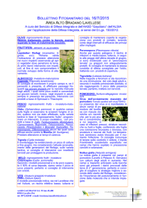 bollettino fitosanitario del area alto bradano lavellese