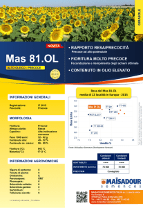 Mas 81.OL