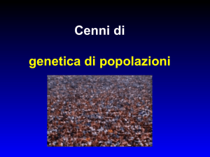 Nessun titolo diapositiva - Classe L